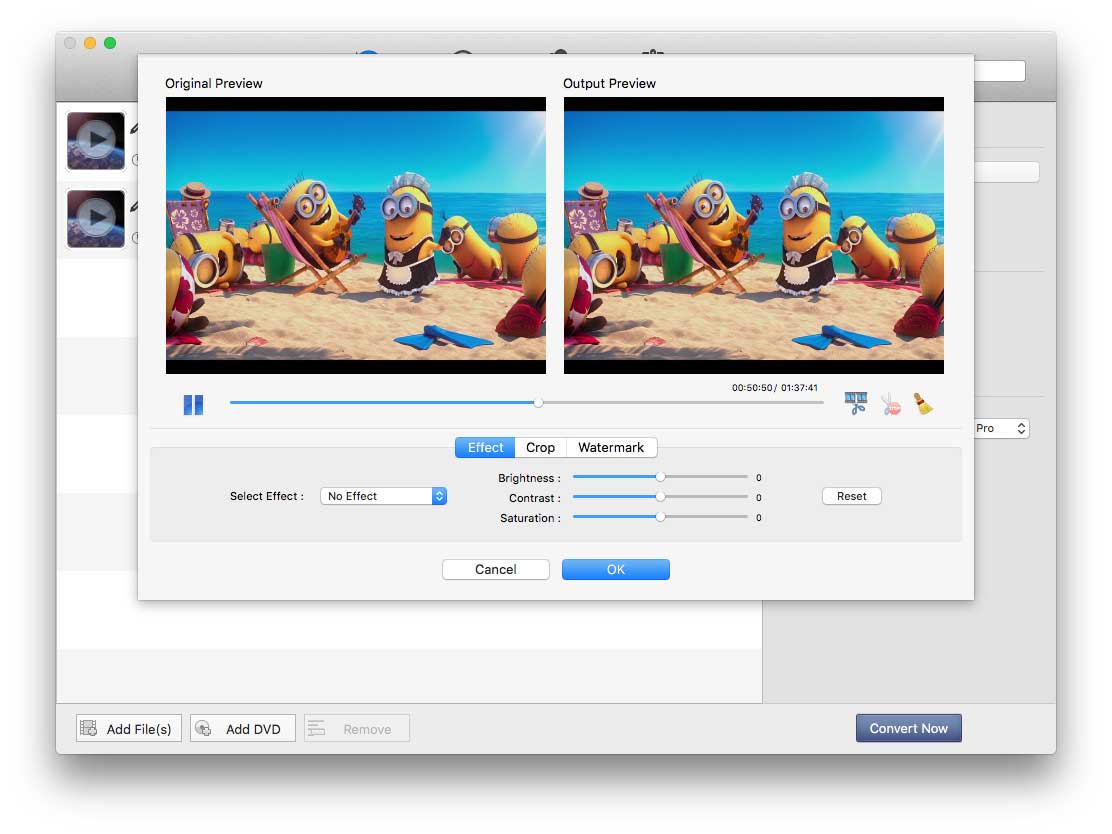 any video converter (for mac or windows)